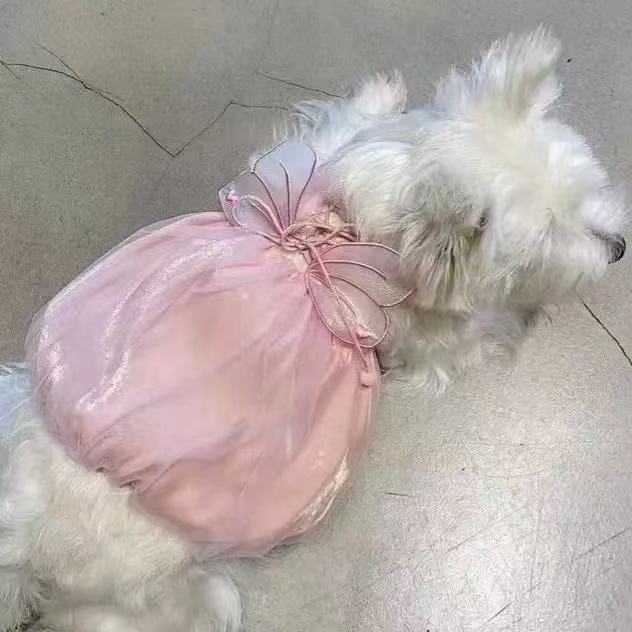 T00154 Dog Spring and Summer Clothes Shiny Wings Skirt Princess Suspender Skirt Cat Two-legged Pet Skirt Summer Teddy Dog
