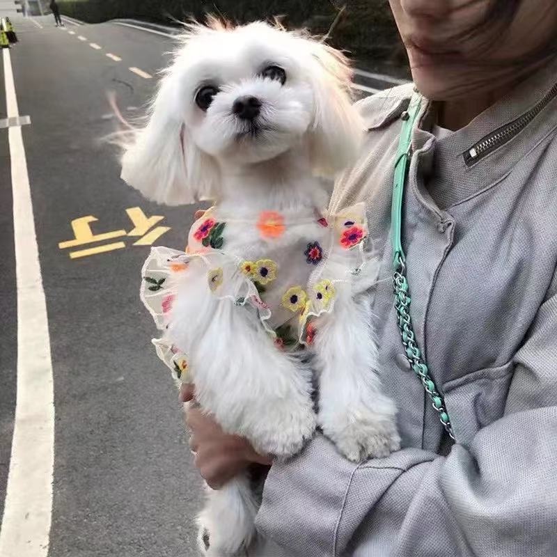 T00156 Summer chiffon skirt small dog Teddy Bichon Yorkshire Maltese cat dog sun protection clothes
