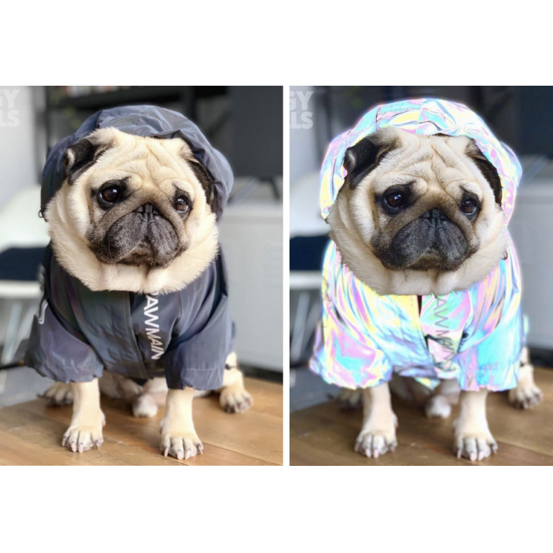 Waterproof Warm Dog Jacket with Mesh Breathable Lining, Windproof Autumn Dog Coat, Reflective Adjustable Hood Dog Clothes for Small Medium Large Dogs 