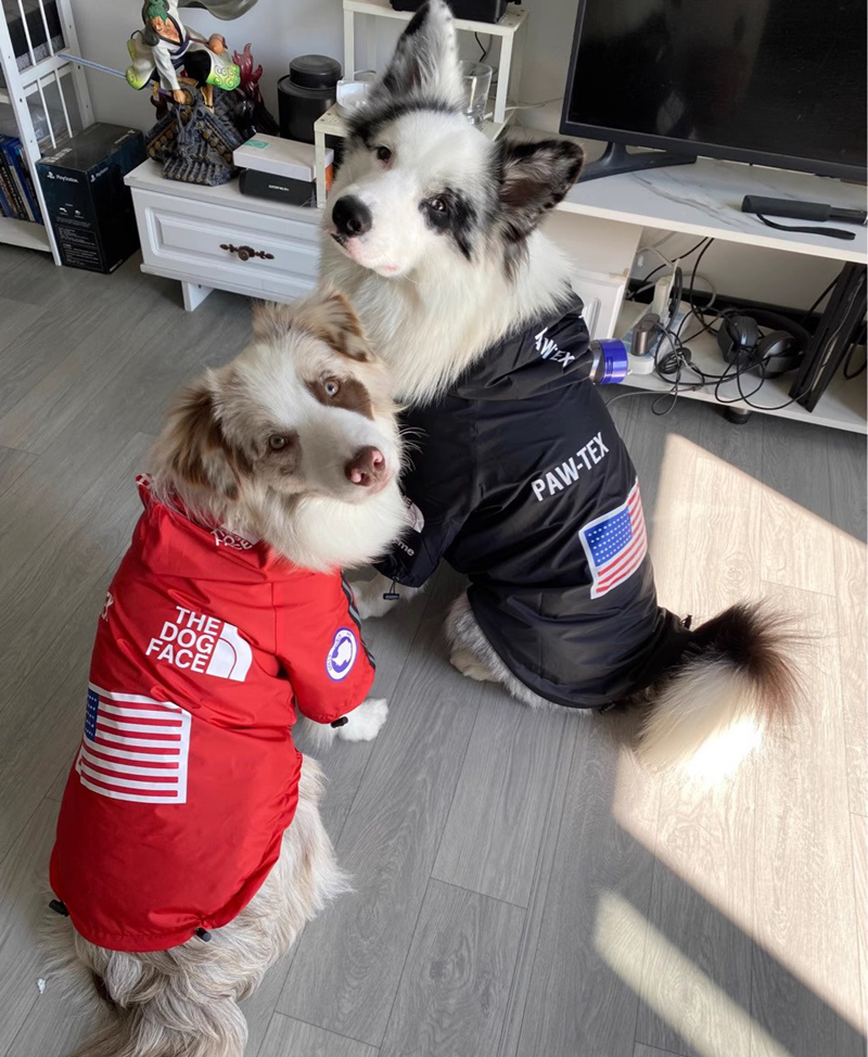 Dog Autumn Winter Warm Clothes with Reflective Stripe Outdoor Hooded Jacket, Waterproof Windproof Dog Coat Adjustable Hood for Small Medium Large Dogs