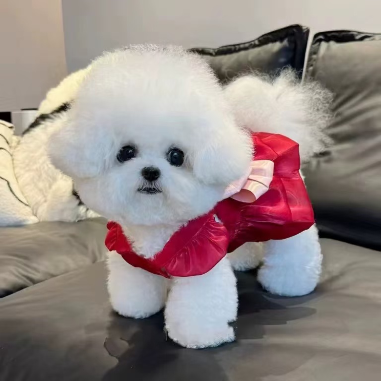 T00372 Dog clothes summer thin breathable air-flowing yarn princess dress skirt pet teddy bear panda traction buckle