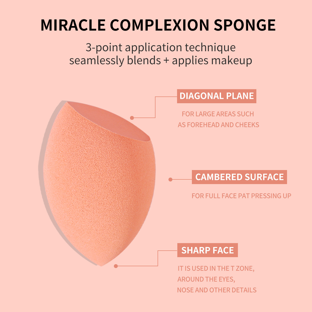 6-piece daily essential makeup brush set with 4 brushes and makeup sponge for foundation blush eyeshadow and powder brushes travel gift set tools z250