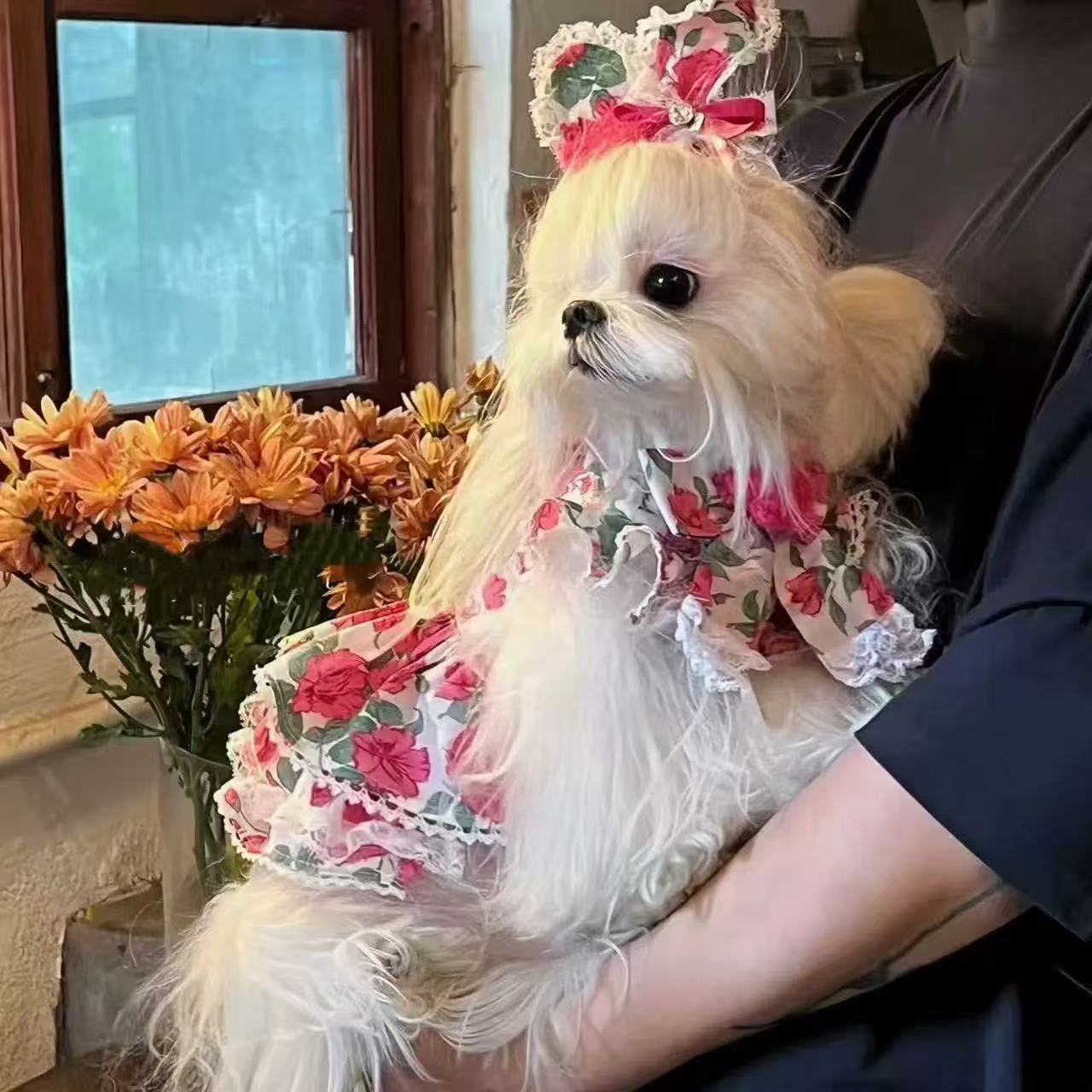 T00157 Korean Spring and Summer Rose Dress Pet Cat Dog Yorkshire Maltese Clothes