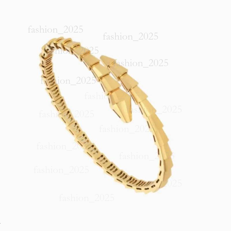 Bvlagri Bracelets Designer Jewelry Narrow Single Circle Snake Designers Bracelet Gold Bracelets Bangle Party Birthday Gift High Quality Bvlagri Jewellery 85a