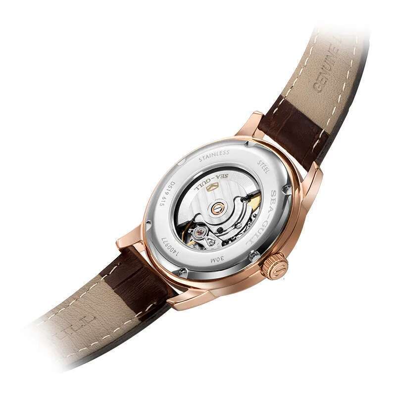 Seagull Men's Business Automatic Mechanical Wristwatch Fashion Simple Belt Waterproof Man Watch reloj hombre 519.615