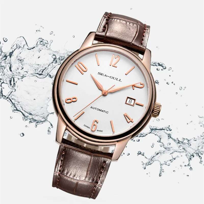 Seagull Men's Business Automatic Mechanical Wristwatch Fashion Simple Belt Waterproof Man Watch reloj hombre 519.615