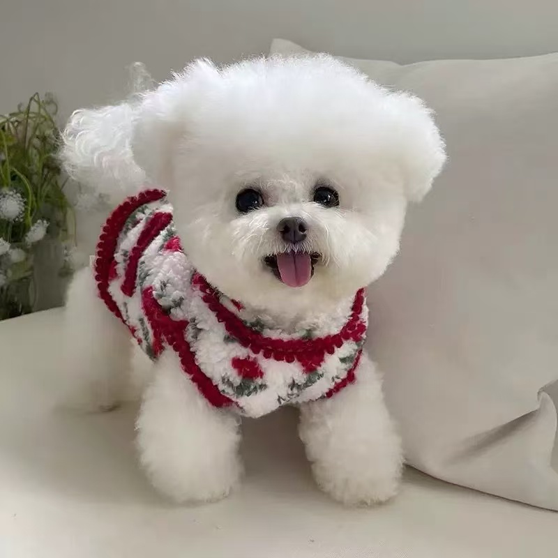 T00249 Pet clothes spring, summer and autumn thin Korean style flower suspender skirt jacquard embroidery summer sweet and bright
