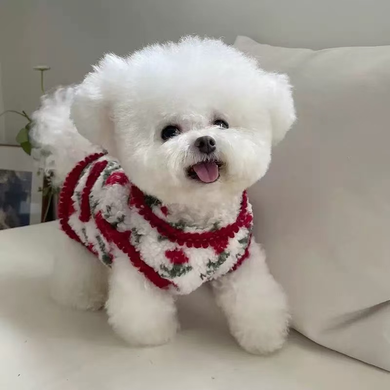 T00249 Pet clothes spring, summer and autumn thin Korean style flower suspender skirt jacquard embroidery summer sweet and bright