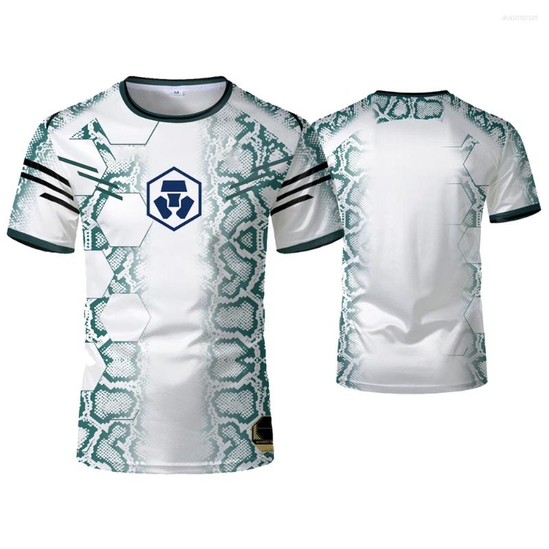 Mens T Shirts 2025 Summer Boxing Fighting Training T-shirts Comfortable Breathable Quick-drying Sweatshirt Outdoor Sports Gym Clothing