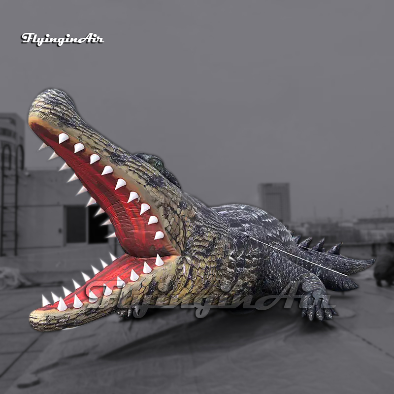 10M Large Inflatabl… - image