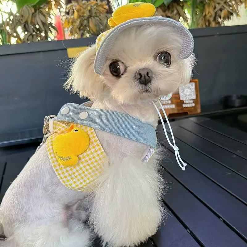 T00167 Clothes dog traction rope small dog pet chest harness Maltese Bichon Yorkshire dog walking rope spring and autumn