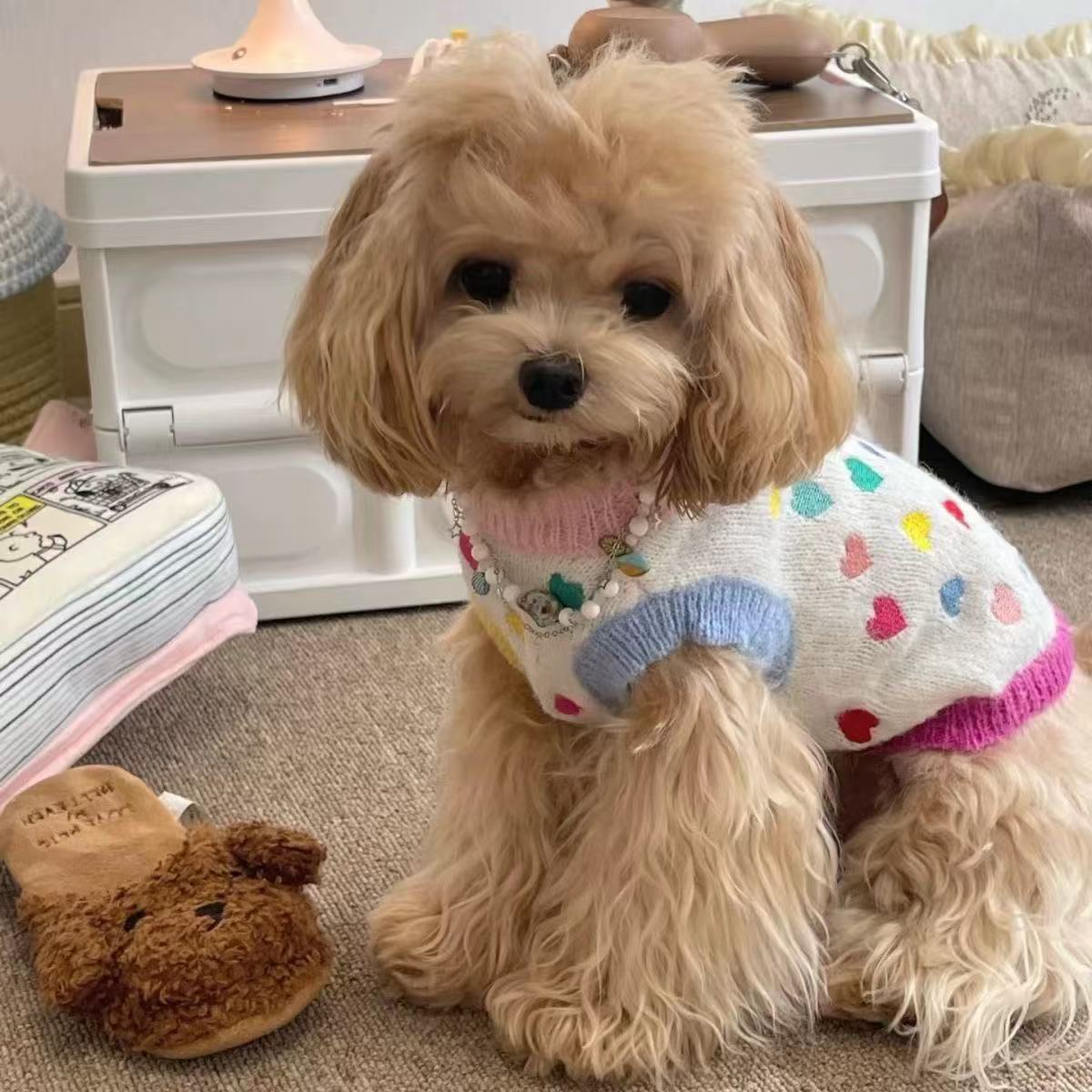 T00165 Pet clothes autumn and winter new color knitted sweater suspender skirt dog cat warm sweater