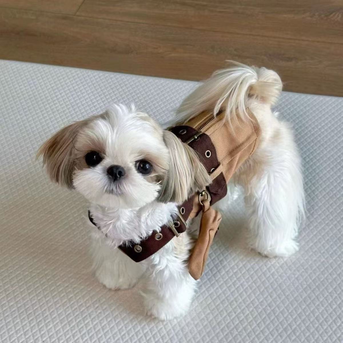T00164 Cat and dog clothes Bichon Yorkshire West Highland small and medium-sized dog pet traction harness