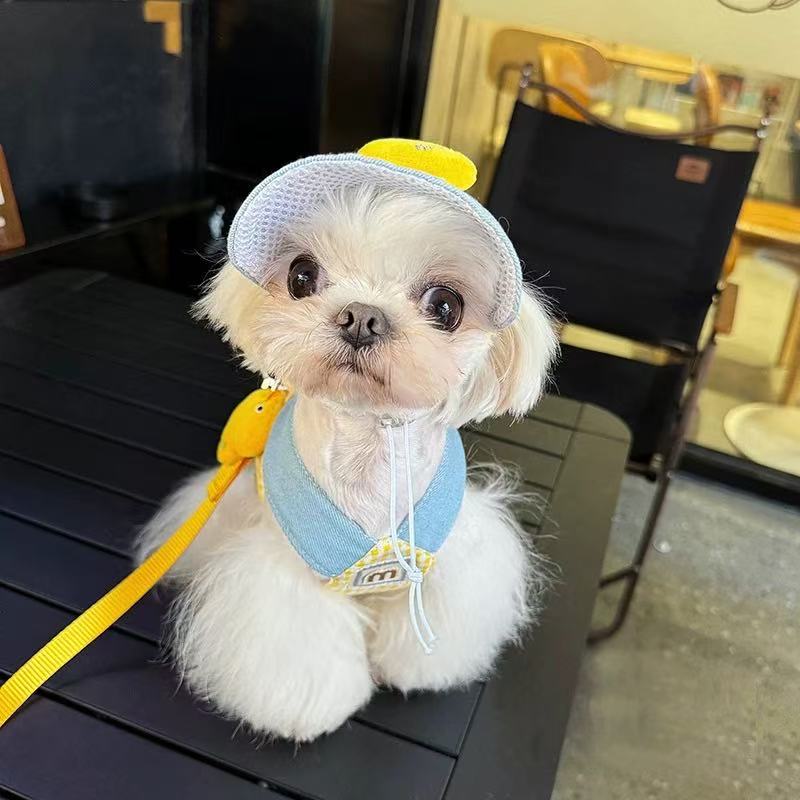 T00167 Clothes dog traction rope small dog pet chest harness Maltese Bichon Yorkshire dog walking rope spring and autumn