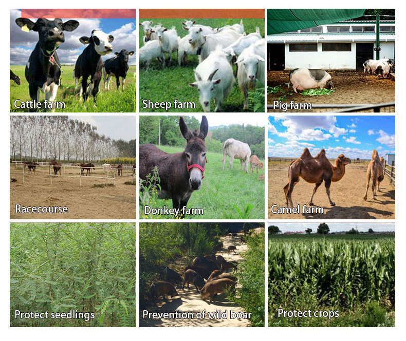 Weak Pulse Electric Fencing System Tailored for Farm Use: Ideal for Poultry & Cattle Management