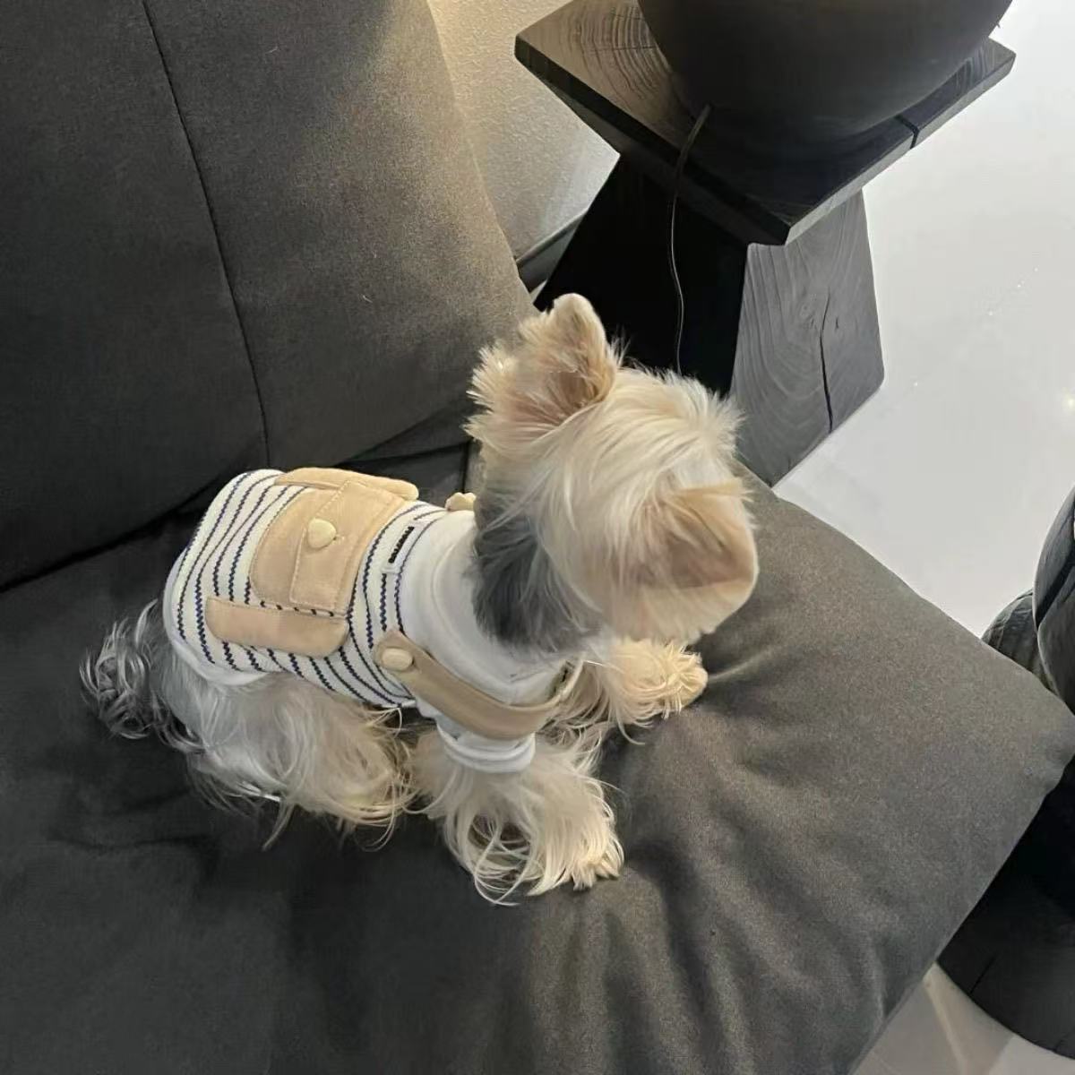T00194 Star pets with autumn and winter striped outerwear retro vest Maltese