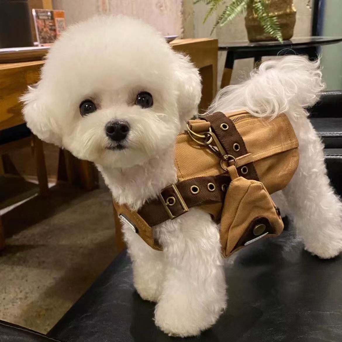 T00164 Cat and dog clothes Bichon Yorkshire West Highland small and medium-sized dog pet traction harness