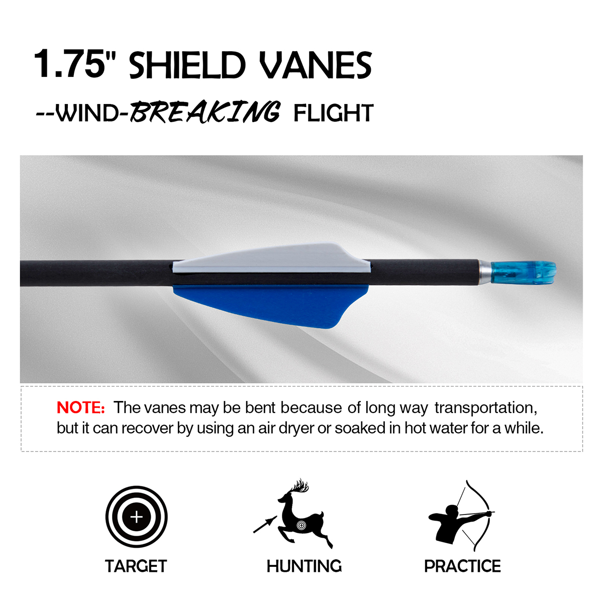 Archery Arrows without Arrow Heads Spine700-900 31inch Targeting Arrows 4.2mm Hunting Arrows Carbon Practice Arrows for Recurve Bow & Compound Bow (12