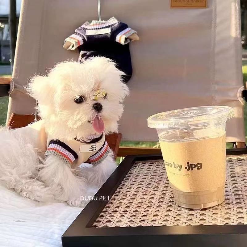 T00172 Autumn and winter puppy clothes pet Maltese small dog Teddy Bichon clothes anti-hair loss warm plus velvet