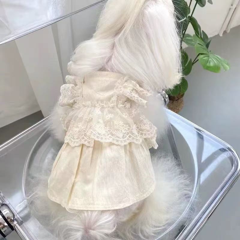 T00174 Dog Skirt Puppy Summer Spring and Autumn Clothes Pet Small Dog Teddy Bichon Pomeranian Teacup Dog Cat Thin