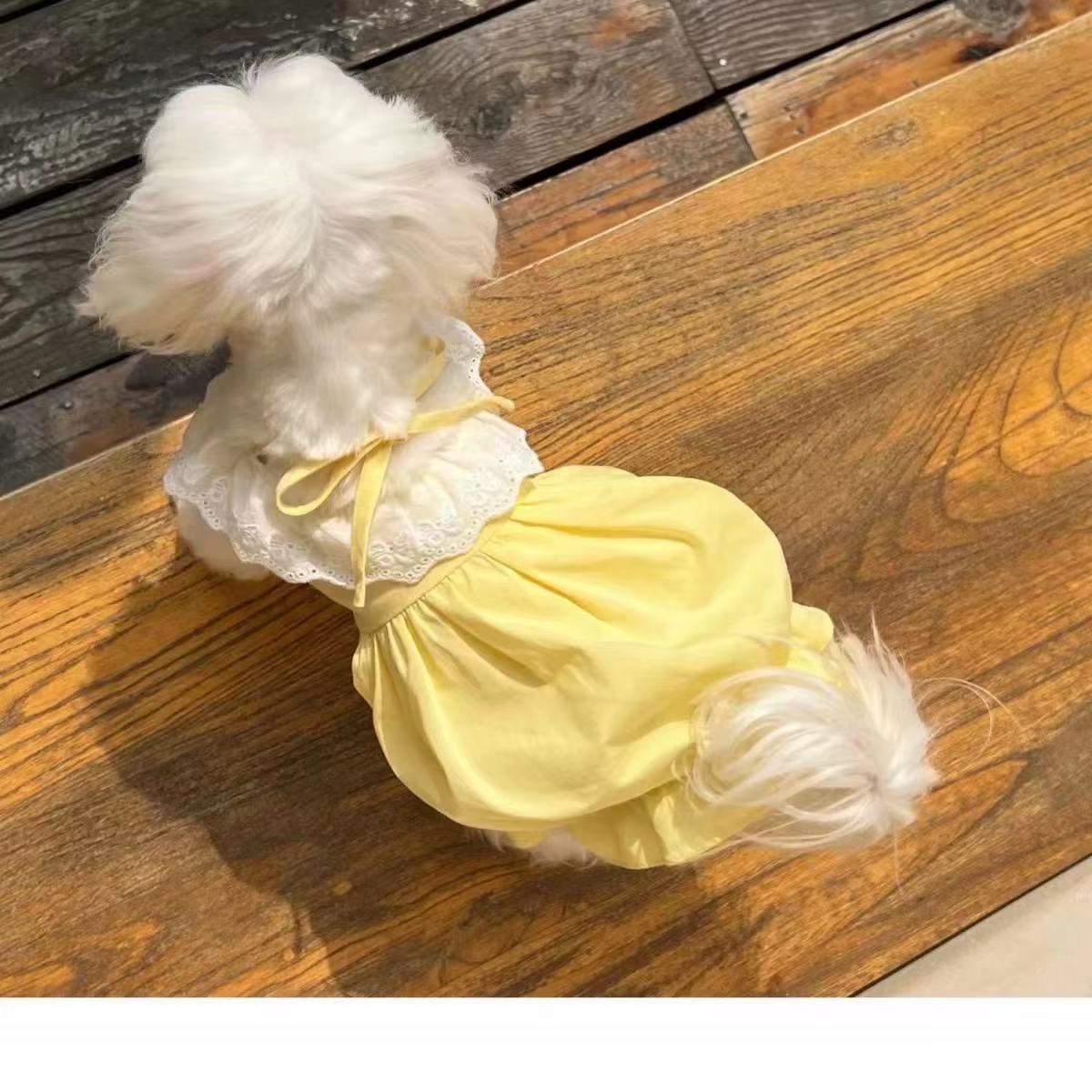 T00257 Pet cats and dogs cute macaron princess style lace dress summer clothes thin anti-hair loss Maltese