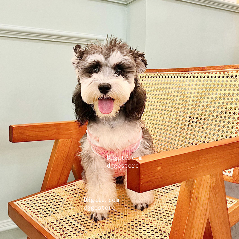 free shipping Designer Clothes s Dog Apparel Dogs Sweaters with ic Letters Pattern Stretch Comfort Cotton Pet Sweatshirt Sweater Vest for Small Doggy 