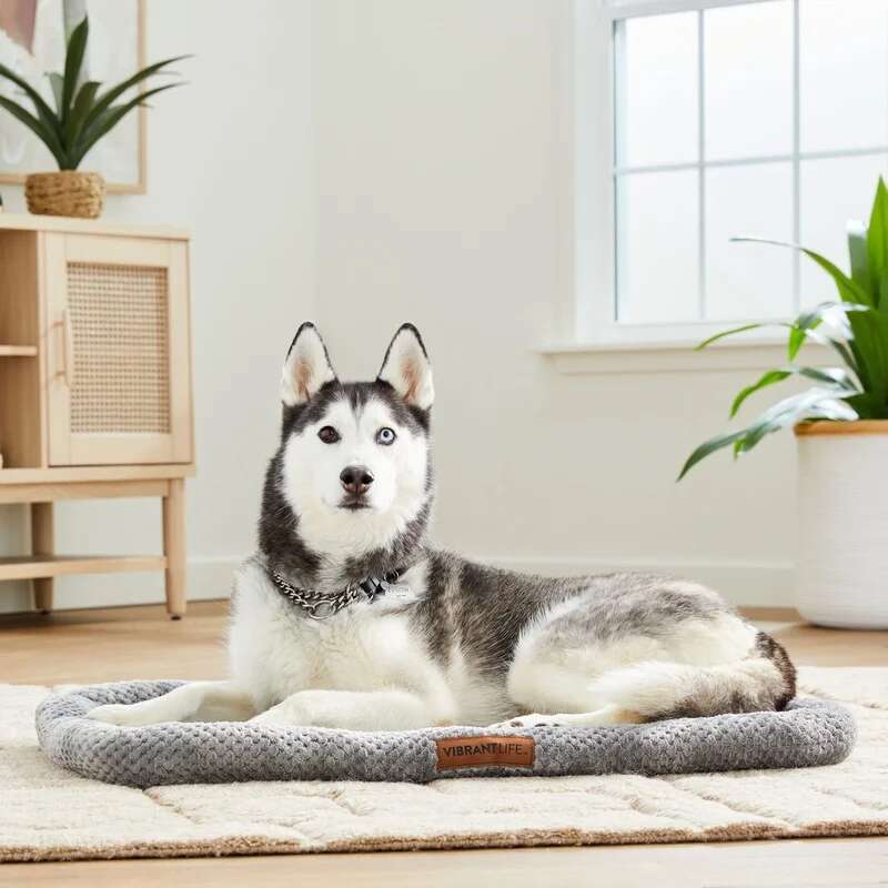 Cozy Dog Mat Plush Foam Bolstered Padded Support Washable Pet Bed Fits 30 Inch Crate