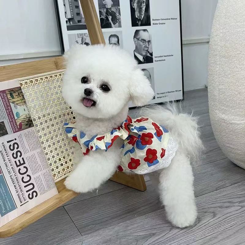 T00179 Dog Skirt Puppy Summer Spring and Autumn Clothes Pet Small Dog Teddy Bichon Pomeranian Teacup Dog Cat Thin