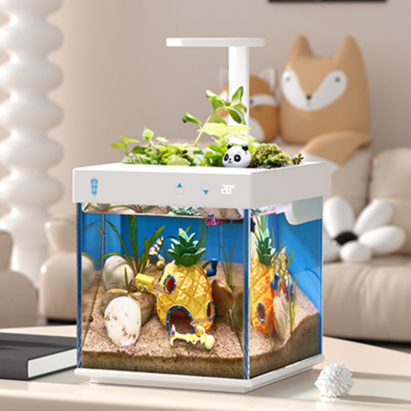 Eco-Friendly Clear Glass Micro Aqua Display Cabinet Fish Tank Aquarium for Office Decor
