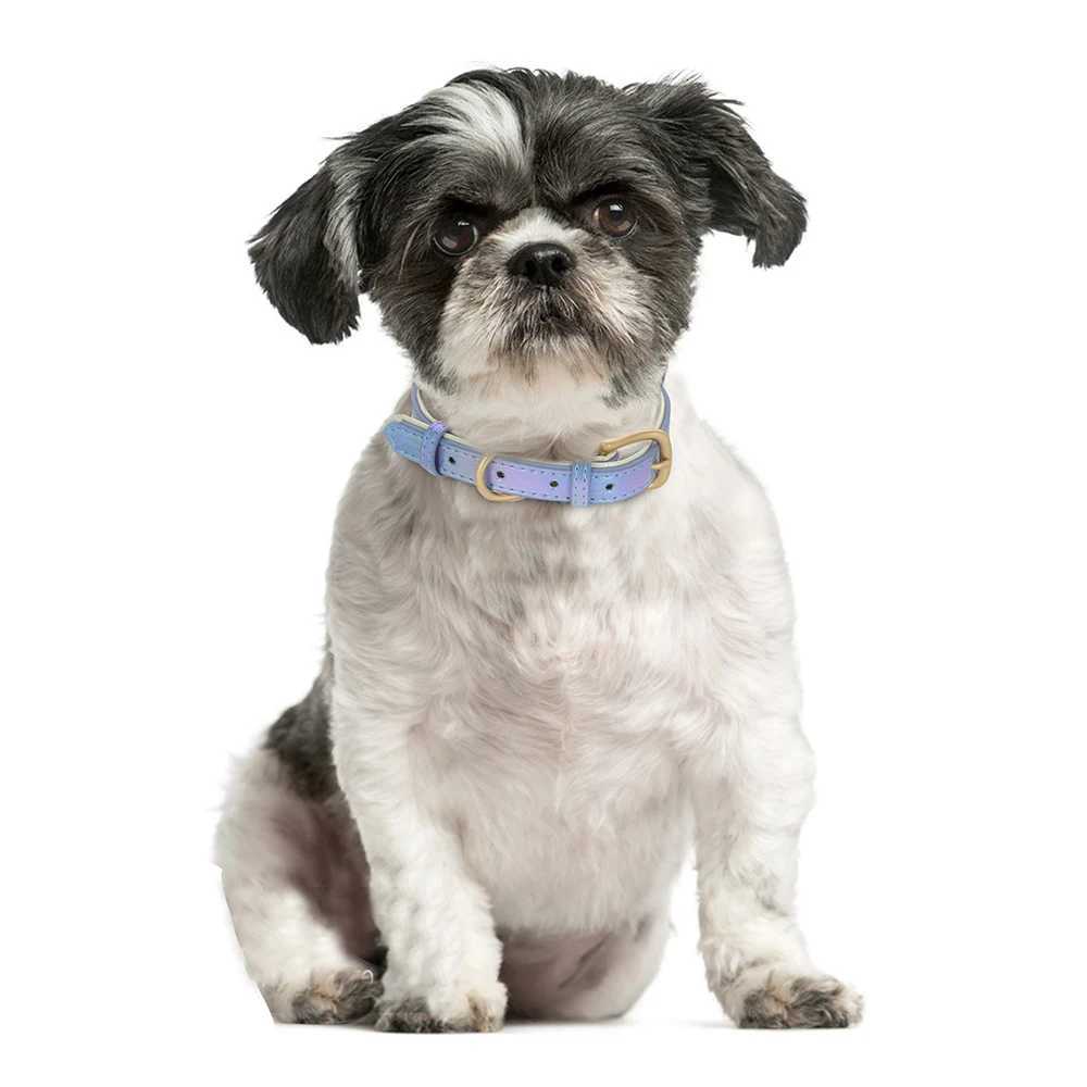Personalized Dog Cat Collar PU Leather Puppy Cats ID Collars With Name Tag Nameplate Adjustable for Small Medium Dogs PitbullXJ241219