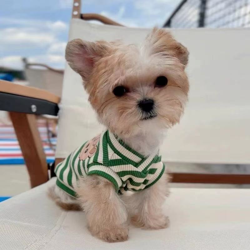 T00178 Charming Vet Skirt Outfit for Your Furry Friend Perfect Fit for Toy Breed Pets