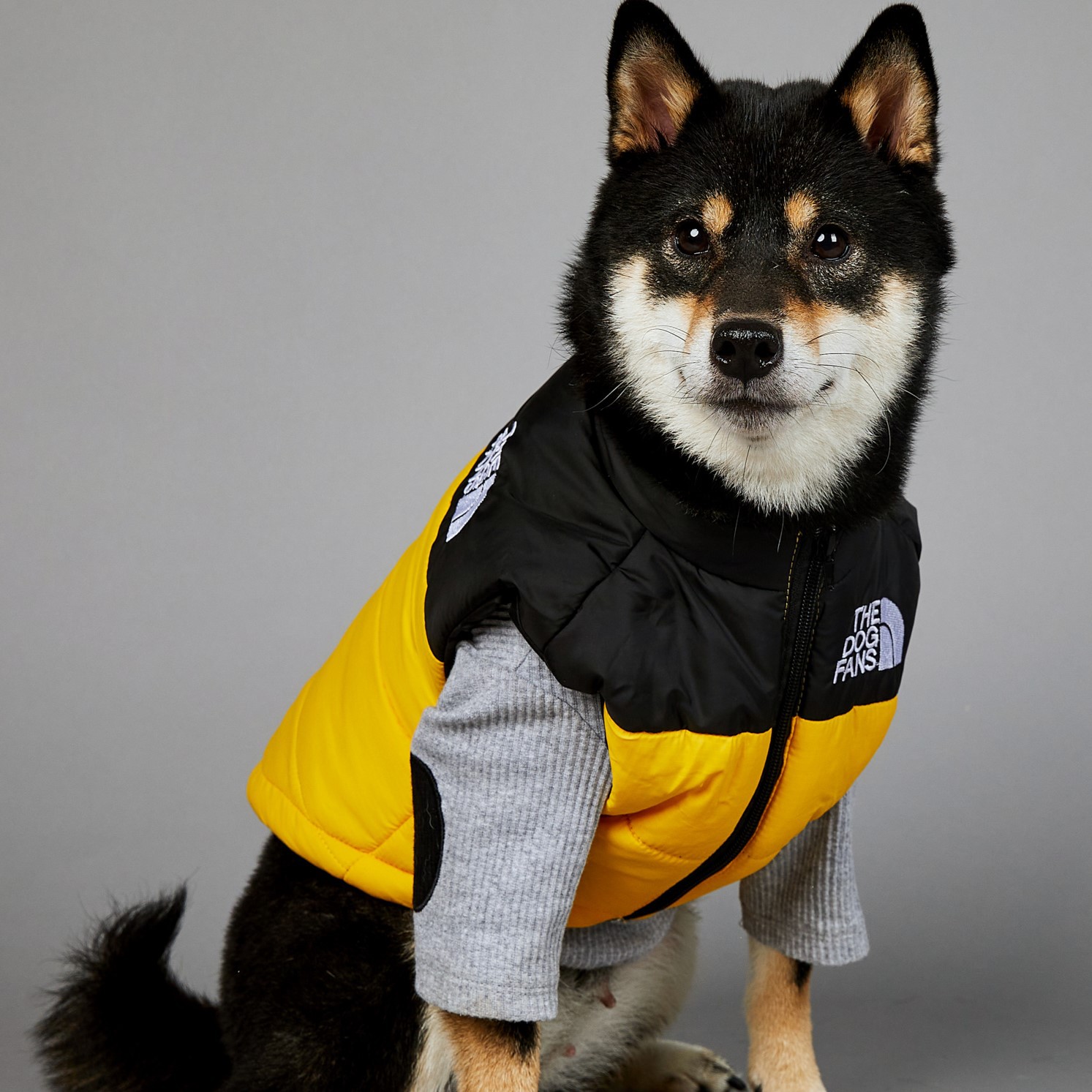 THE DOG FANS Dog Coat Waterproof Winter Warm Jacket Puppy Vest Outdoor Pet Windproof Apparel Dog Clothes for Cold Weather Small Medium Large Dogs XXL 