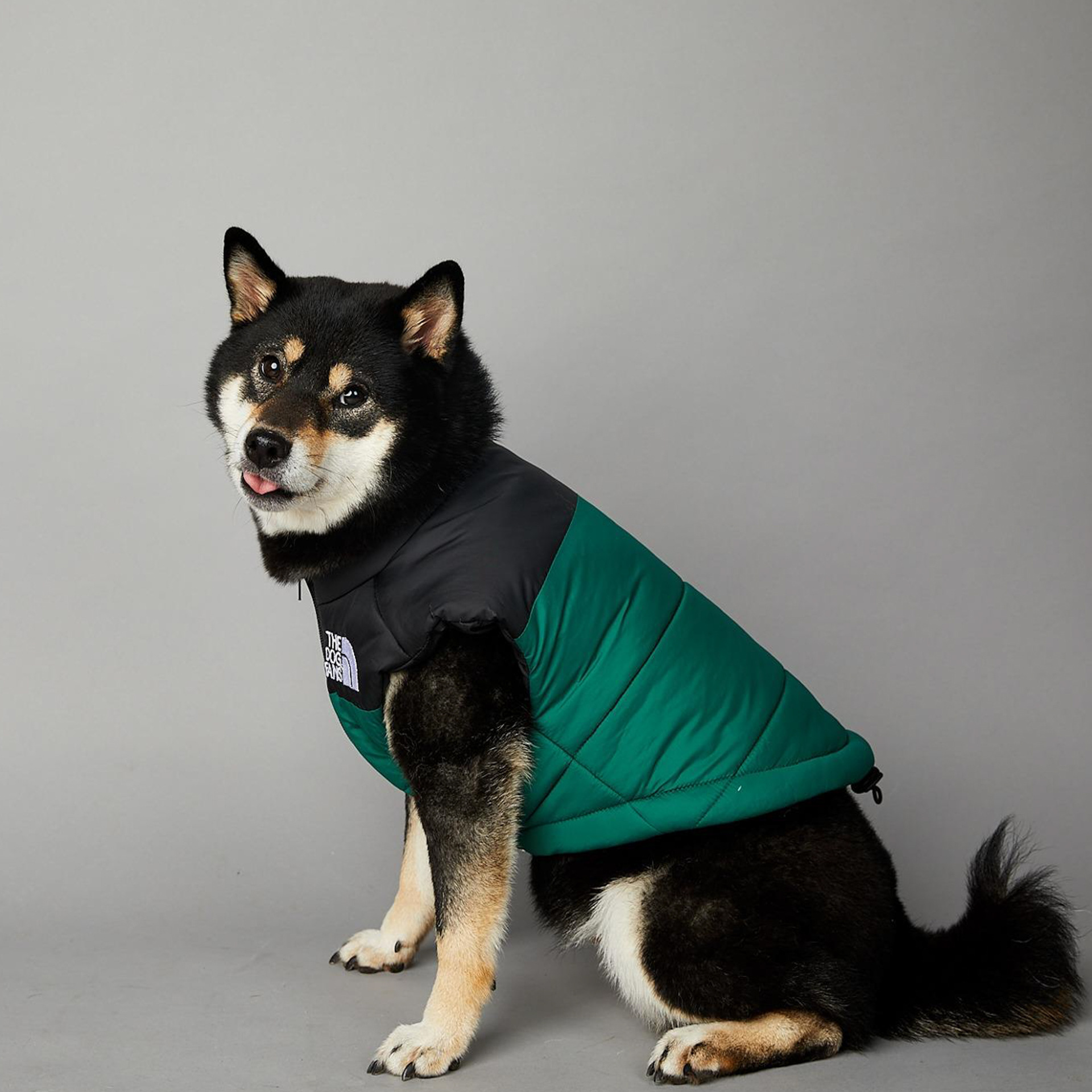 THE DOG FANS Dog Coat Waterproof Winter Warm Jacket Puppy Vest Outdoor Pet Windproof Apparel Dog Clothes for Cold Weather Small Medium Large Dogs XXL 