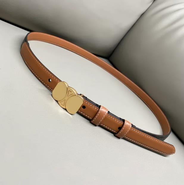 High Quality Women Belt Designer Cowskin Leather Black Brown Bronze White Red Belt Womens Classic ceinture Casual Belts Width 2.5cm with box