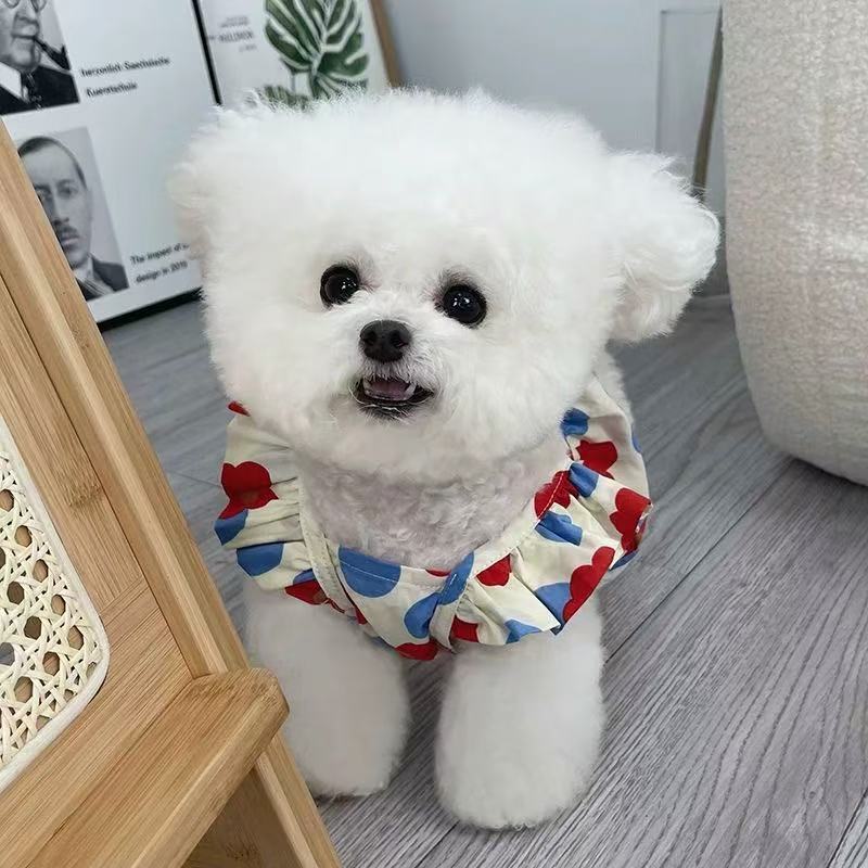 T00179 Dog Skirt Puppy Summer Spring and Autumn Clothes Pet Small Dog Teddy Bichon Pomeranian Teacup Dog Cat Thin