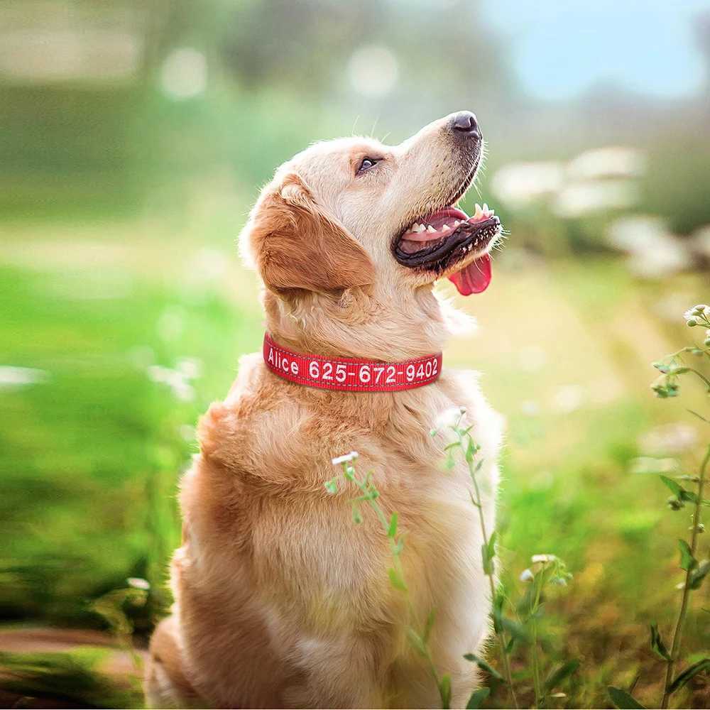 Embroidered Nylon Dog Collar Free Custom Dogs Collar Reflective Pet ID Name Phone No. For Small Medium Large Dogs Pug AdjustableXJ241219