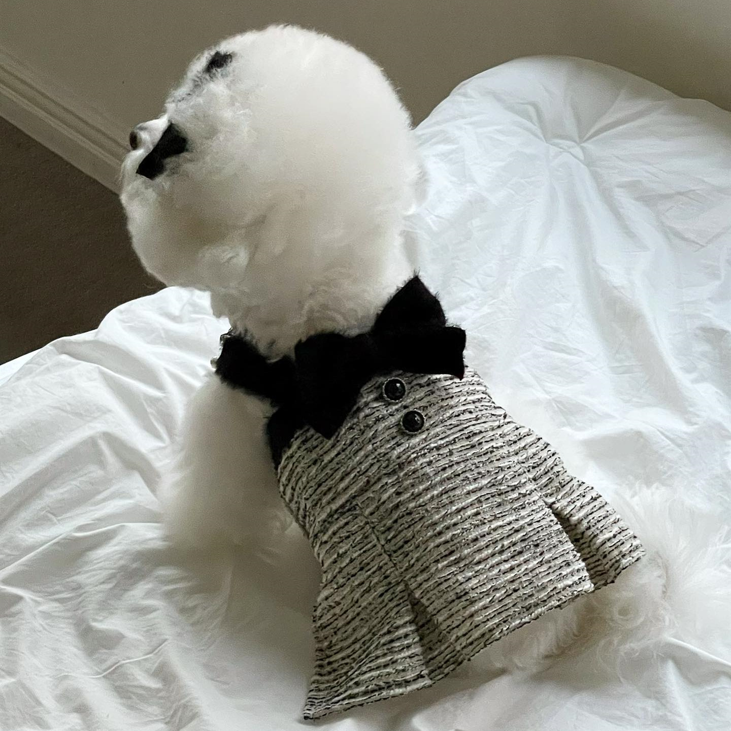 Tweed Princess Dog Apparel Dress Girl Cute Pet Clothes Outfit Small Dogs Costume Puppy Dresses for Small Dogs Cat Girl Female Teacup Yorkie Chihuahua 