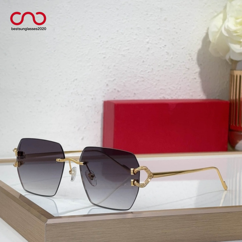 Fashion brand designer woman sunglasses Square diamond cut color changing sunglasses CT0577S Eyewear With Brand light color Women with box
