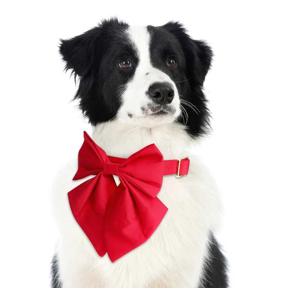 Customized Silk Dog Collar Soft Bow Tie Pet Collars Flower Bowknot Puppy Collar Personalized ID Name For Small Medium Large DogsXJ241219