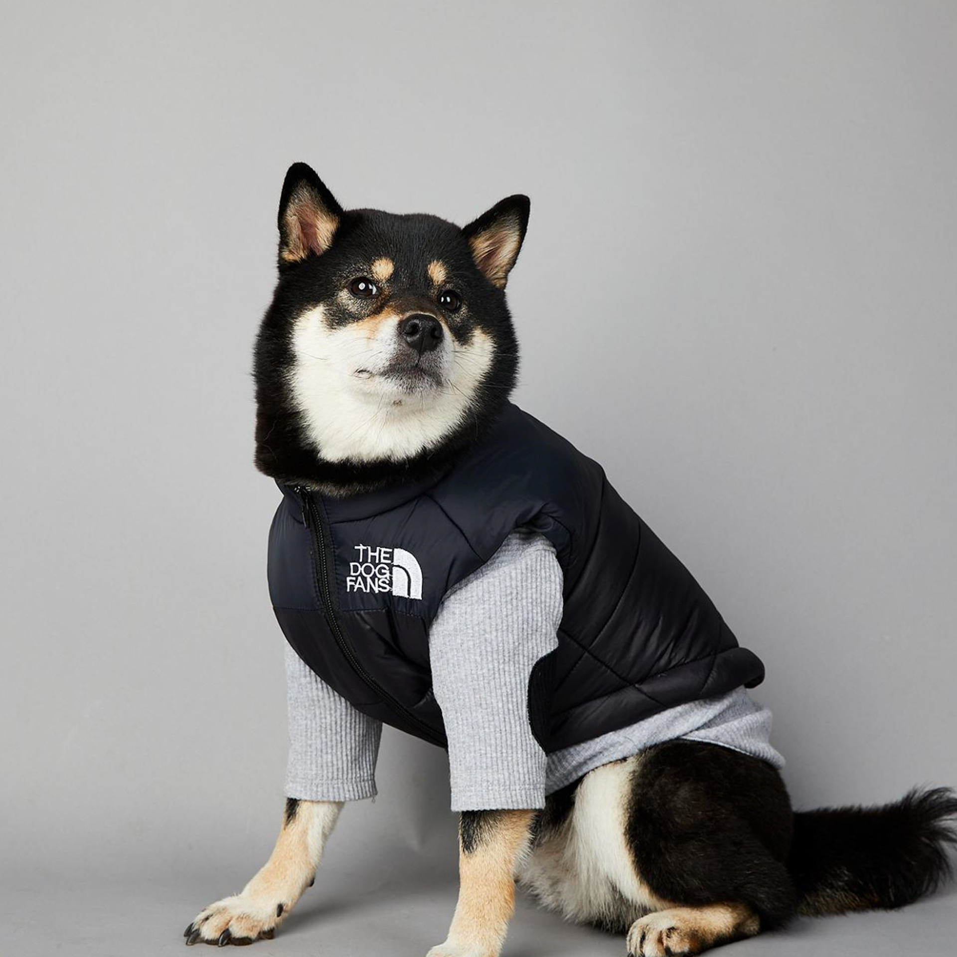 THE DOG FANS Dog Coat Waterproof Winter Warm Jacket Puppy Vest Outdoor Pet Windproof Apparel Dog Clothes for Cold Weather Small Medium Large Dogs XXL 