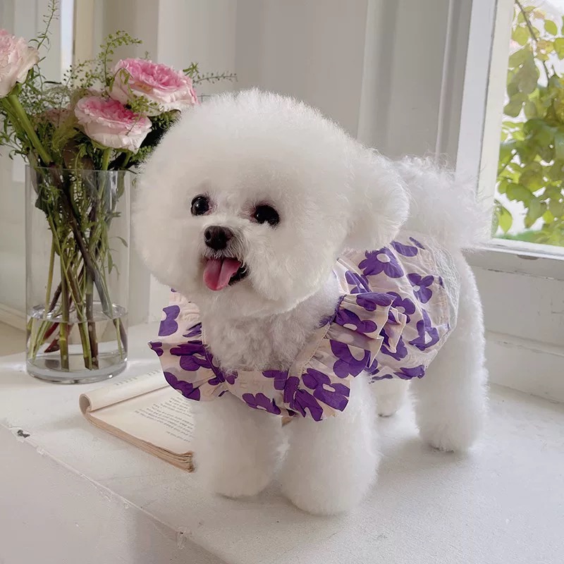 T00185 Pet dog clothes summer small skirt princess skirt summer thin small dog Teddy Bichon Pomeranian floral skirt