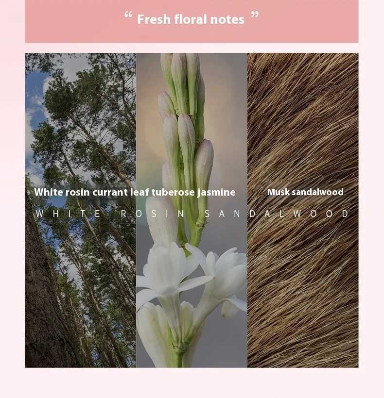 Brand Perfume Sandalwood Women Perfume Suit Spray Flirting Pheromone Long Lasting Light Fragrance Floral Seductive RomanceXJ250512