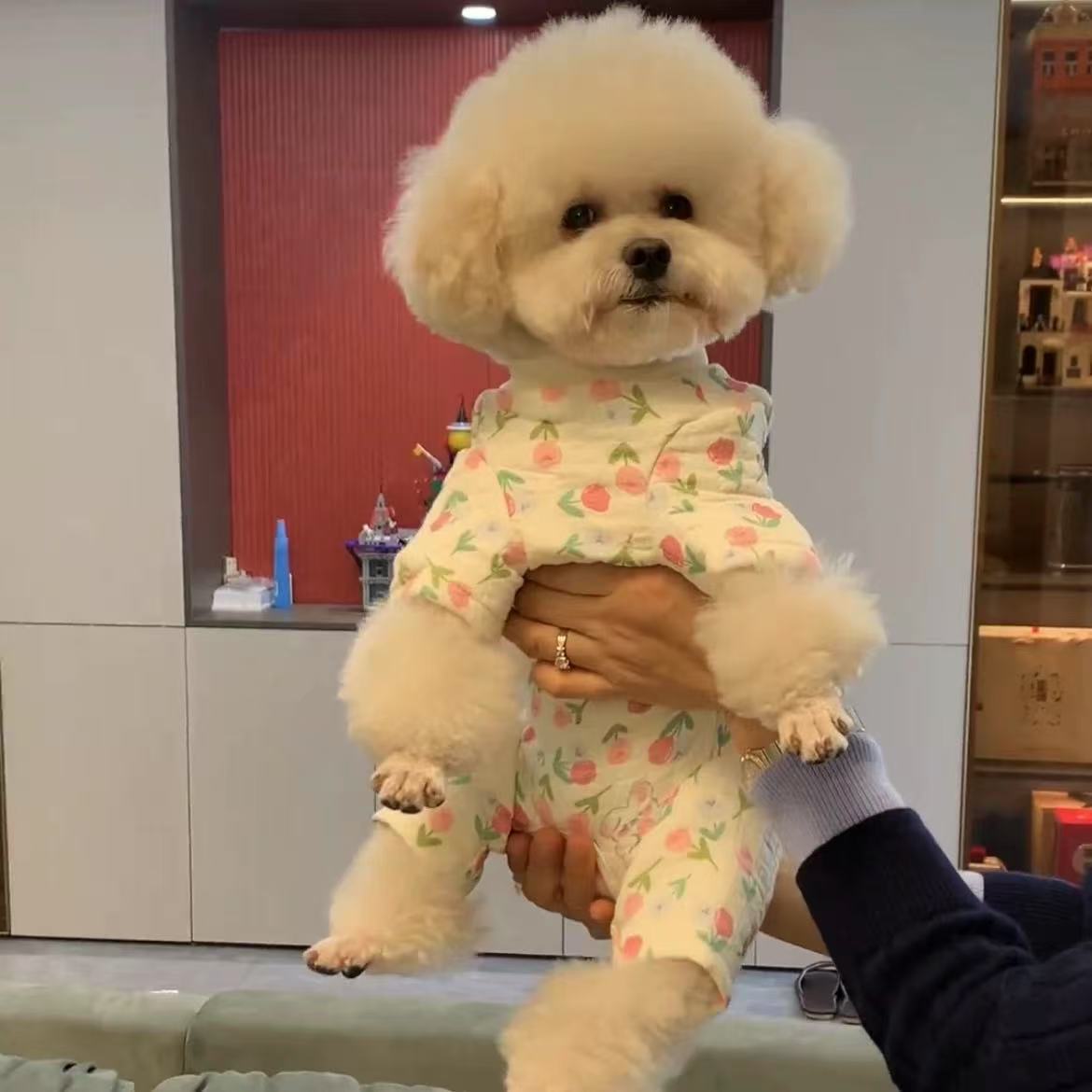 T00186 Dog traction rope clothes small dog pet chest harness Maltese Bichon Yorkshire dog walking rope summer