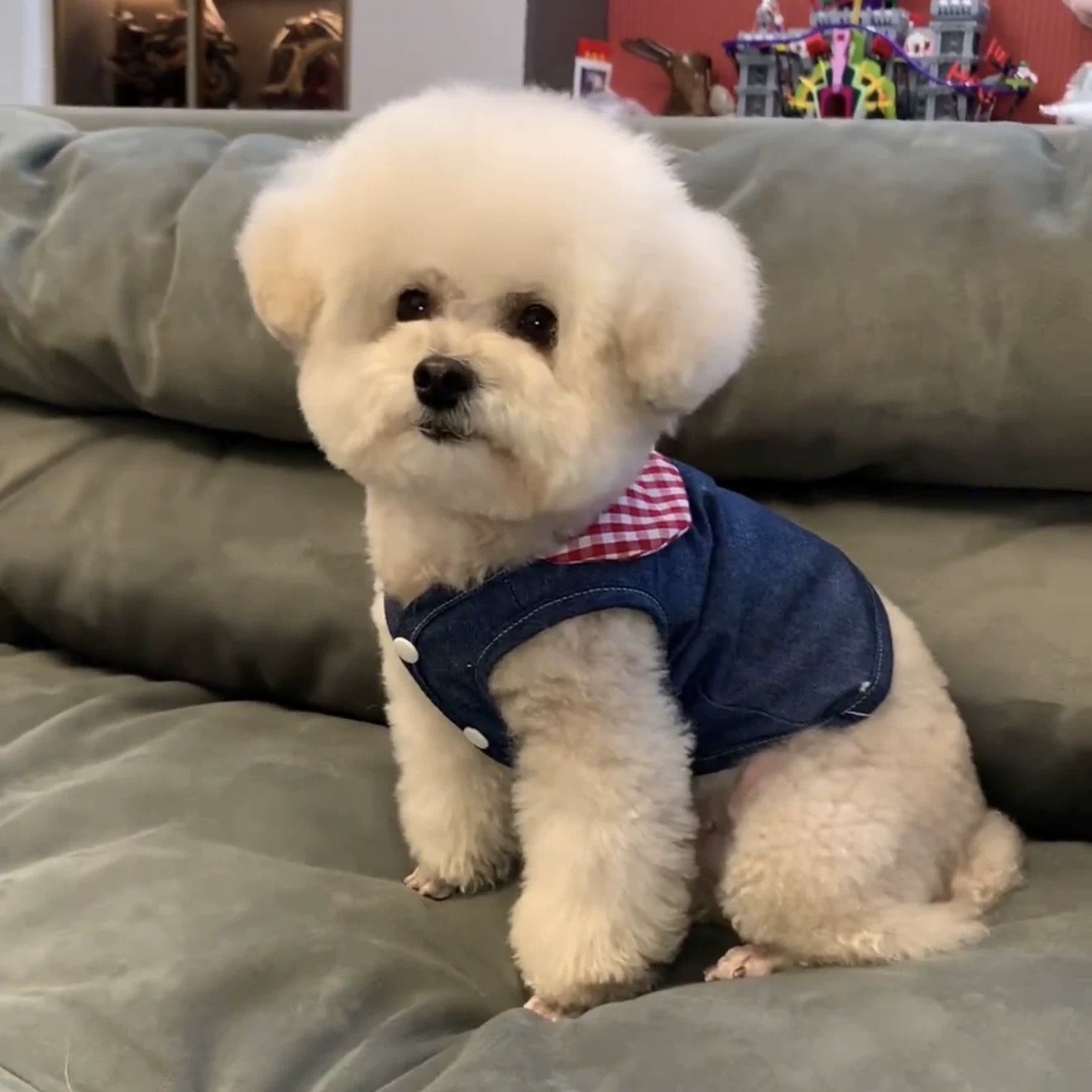 T00000Pullable dog clothes summer clothes small dog Teddy Bichon Pomeranian cat Korean cute ins summer vest