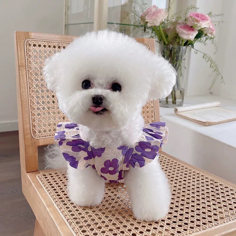 T00185 Pet dog clothes summer small skirt princess skirt summer thin small dog Teddy Bichon Pomeranian floral skirt