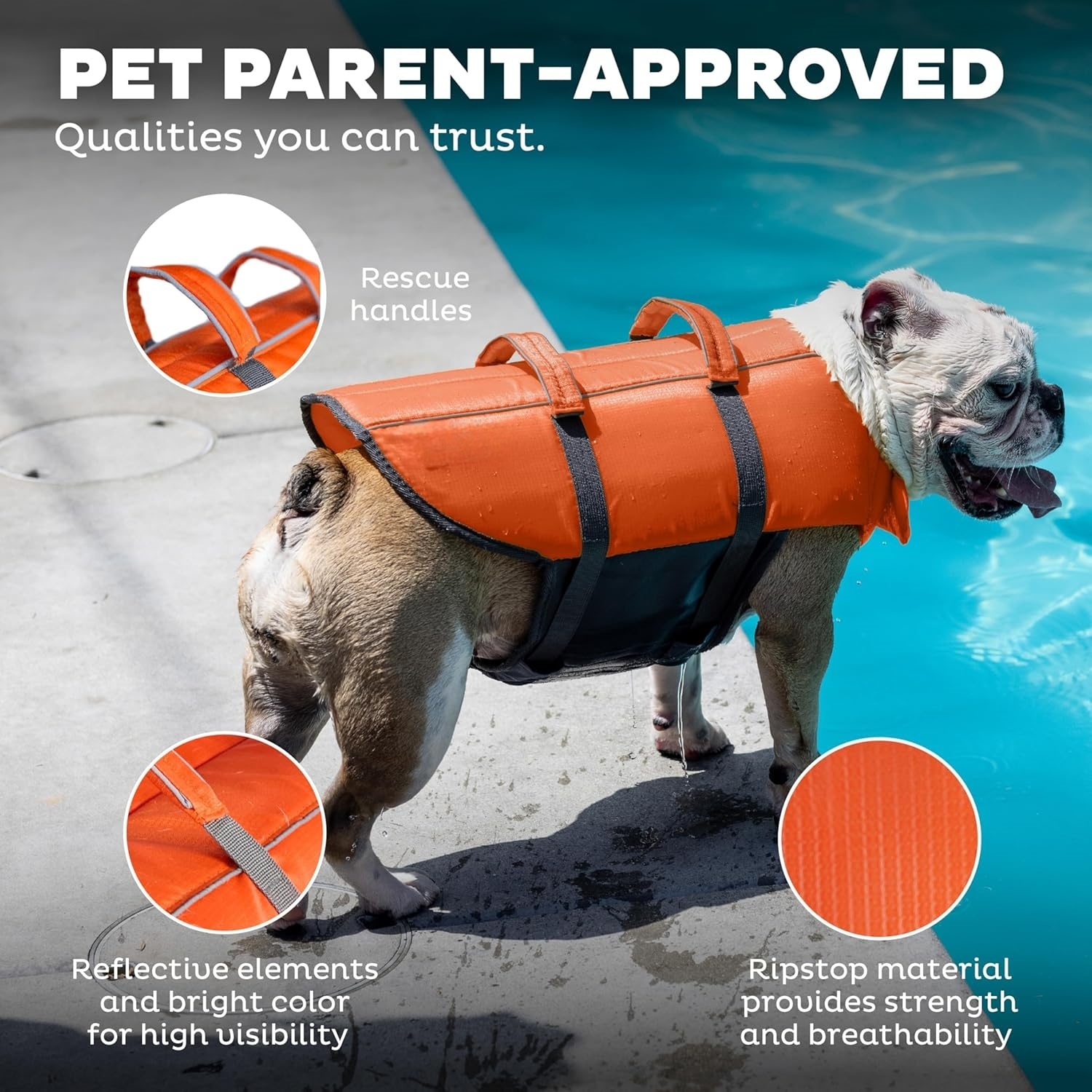Outward Hound Splash Dog Life Jacket, High-Buoyancy Dog Life Vest for Swimming, Boating, and Water Safety, Multi Sizes and Colors