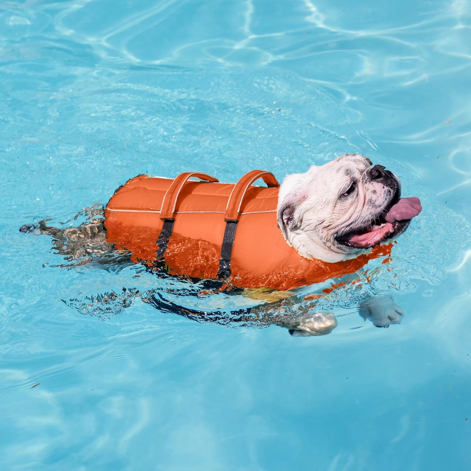 Outward Hound Splash Dog Life Jacket, High-Buoyancy Dog Life Vest for Swimming, Boating, and Water Safety, Multi Sizes and Colors