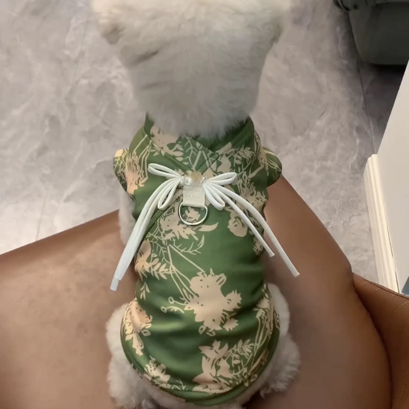 T00188 Dog clothes spring and summer clothes with traction ring 2025 new cute ins small dog Teddy Bichon Pomeranian summer clothes