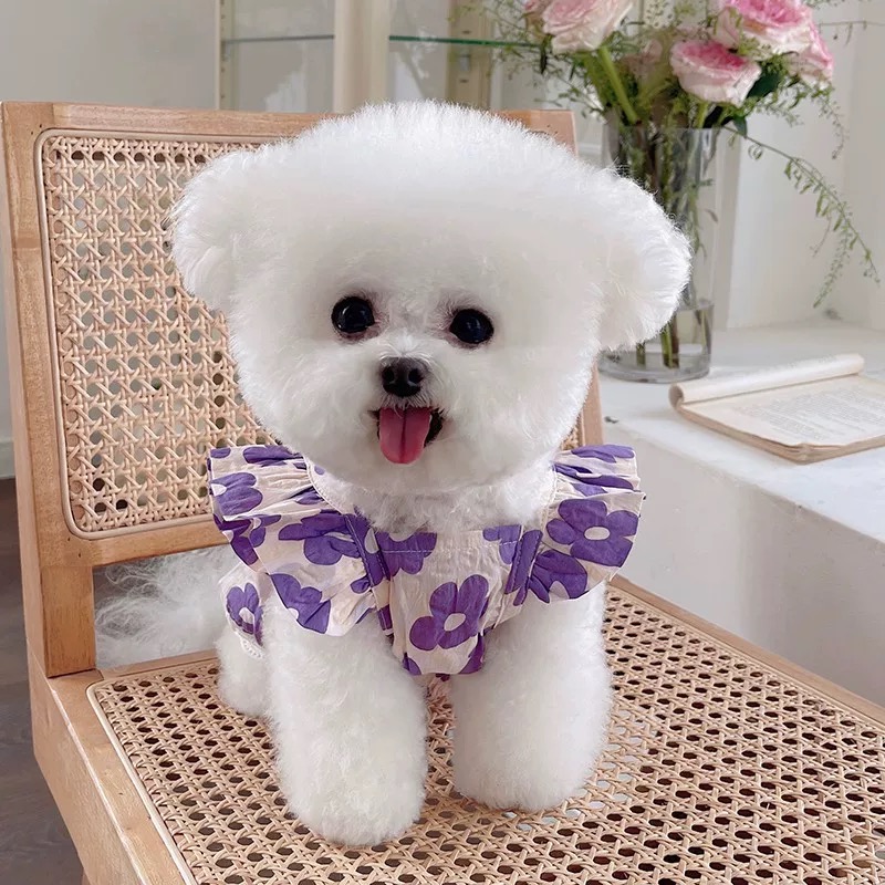T00185 Pet dog clothes summer small skirt princess skirt summer thin small dog Teddy Bichon Pomeranian floral skirt