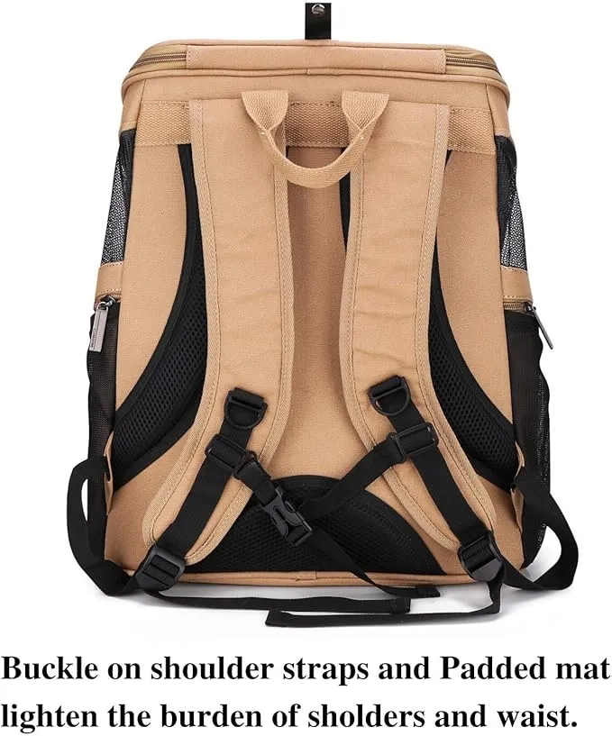 Large pets carry backpacks, bubble backpacks carry fat cats and puppies, and airlines approve easy travel 01